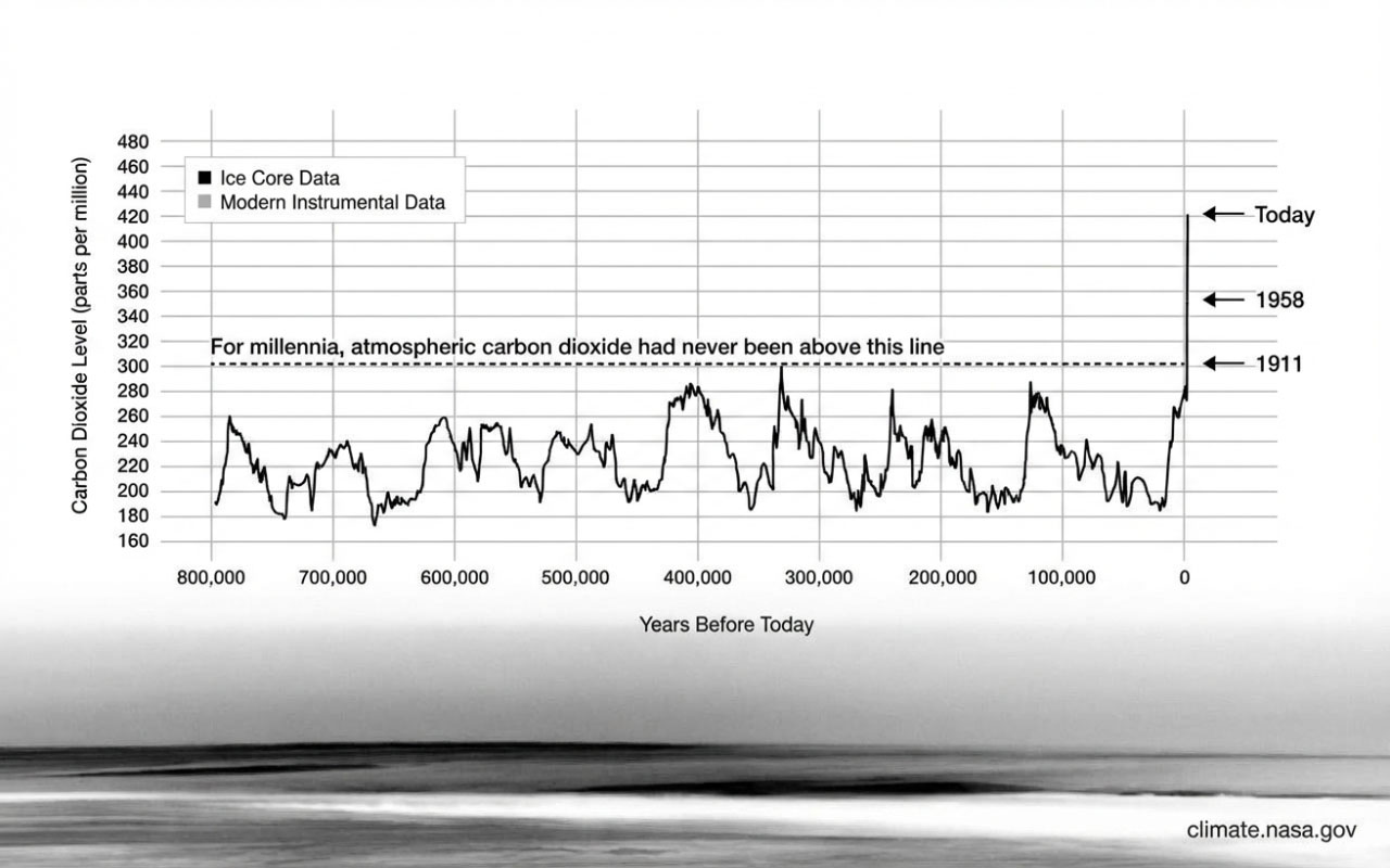 CDR Brief Issue 2: Greenwashing or Necessity?